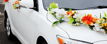 Wedding Travel Made Special